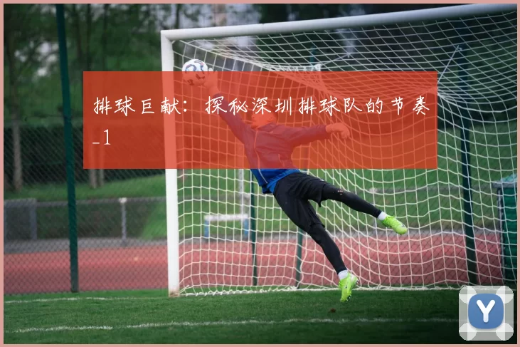 排球巨献：探秘深圳排球队的节奏_1
