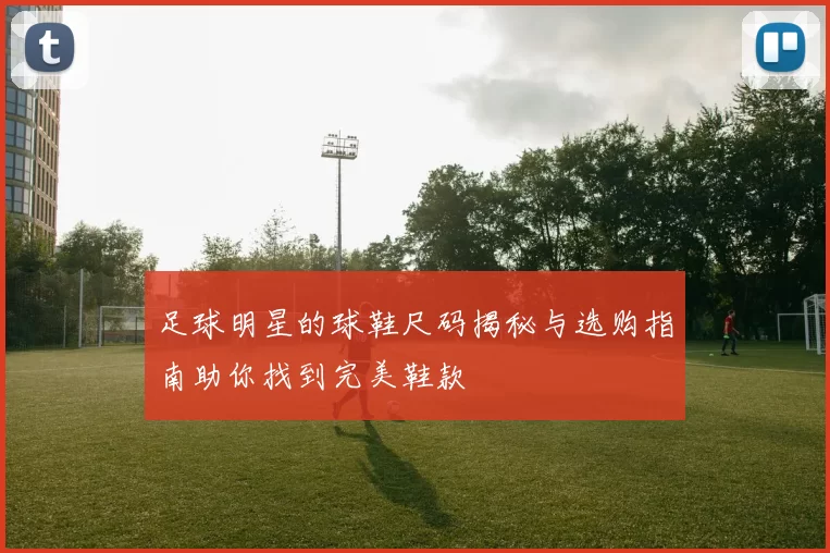 足球明星的球鞋尺码揭秘与选购指南助你找到完美鞋款