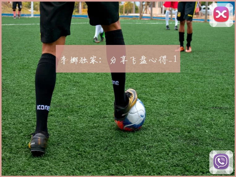 李娜独家：分享飞盘心得_1