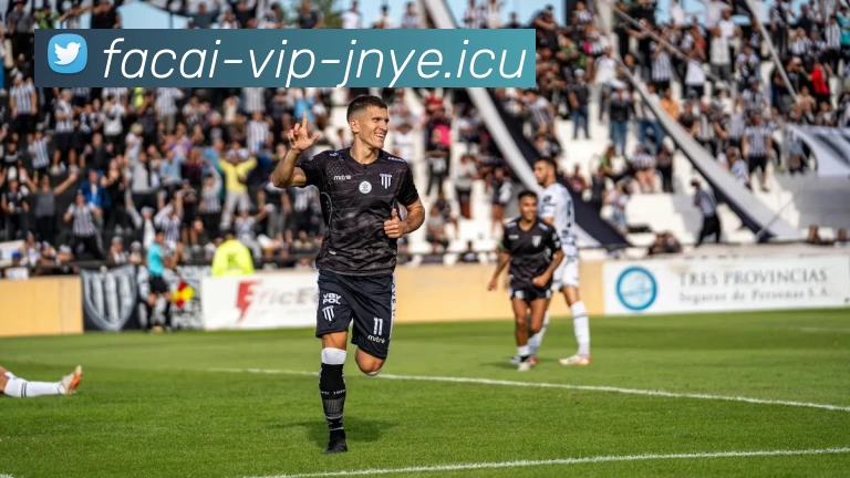 华体会体育平台生态图